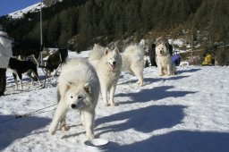 2007_Spluegen