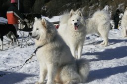 2007_Spluegen