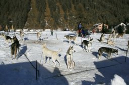 2007_Spluegen