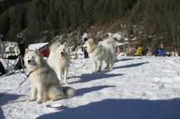 2007_Spluegen
