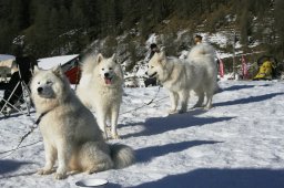 2007_Spluegen