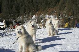 2007_Spluegen