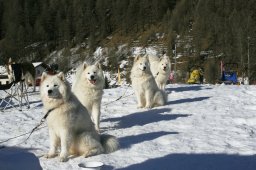2007_Spluegen