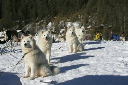 2007_Spluegen