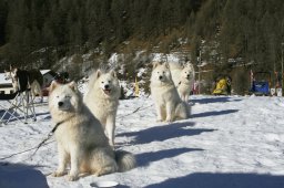 2007_Spluegen