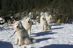 2007_Spluegen