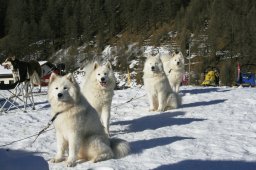 2007_Spluegen