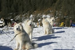 2007_Spluegen