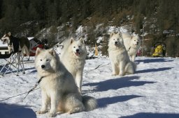 2007_Spluegen
