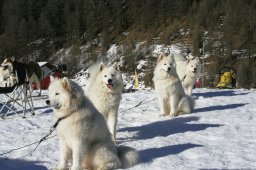 2007_Spluegen