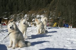 2007_Spluegen
