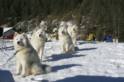 2007_Spluegen