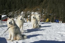 2007_Spluegen