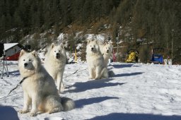 2007_Spluegen