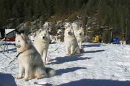 2007_Spluegen