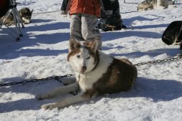 2007_Spluegen