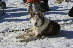2007_Spluegen