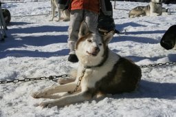 2007_Spluegen