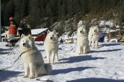 2007_Spluegen