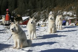 2007_Spluegen