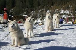 2007_Spluegen
