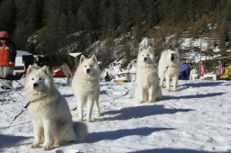 2007_Spluegen