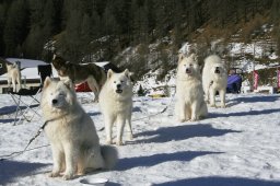 2007_Spluegen