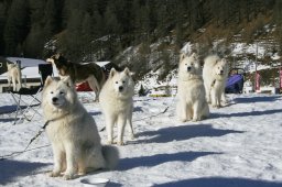 2007_Spluegen