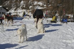 2007_Spluegen