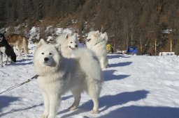 2007_Spluegen
