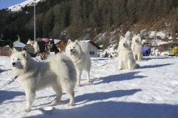 2007_Spluegen