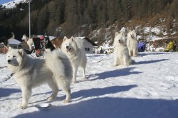 2007_Spluegen
