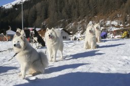 2007_Spluegen
