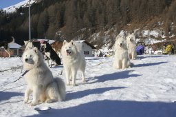 2007_Spluegen