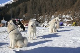 2007_Spluegen