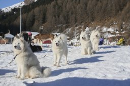 2007_Spluegen
