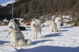 2007_Spluegen
