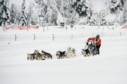 2008_Spluegen