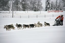 2008_Spluegen