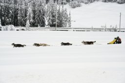 2008_Spluegen