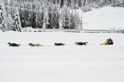 2008_Spluegen