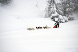 2008_Spluegen