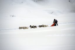 2008_Spluegen