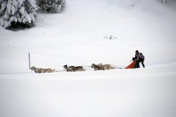 2008_Spluegen