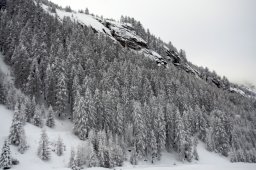 2008_Spluegen