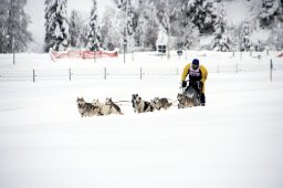 2008_Spluegen