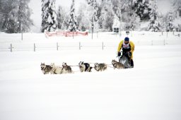 2008_Spluegen