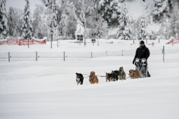 2008_Spluegen