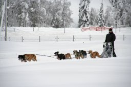 2008_Spluegen