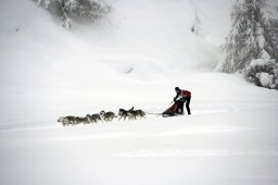 2008_Spluegen